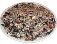 Goldenfeast Basics Plus Cockatiel 64oz Bird Food