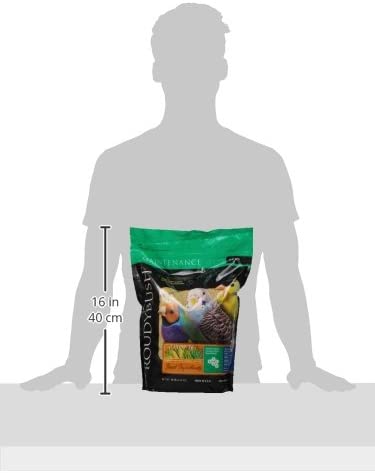 RoudyBush Daily Maintenance Bird Food, Nibles, 10-Pound (210NIDM)