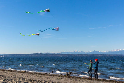 Pocket Flyer Single Line Kite Electric - Ready for Flight Wherever Adventure Takes You…
